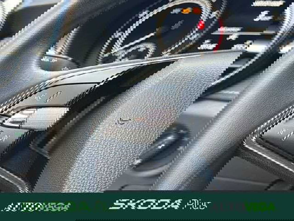 Skoda Fabia usata a Vicenza (19)