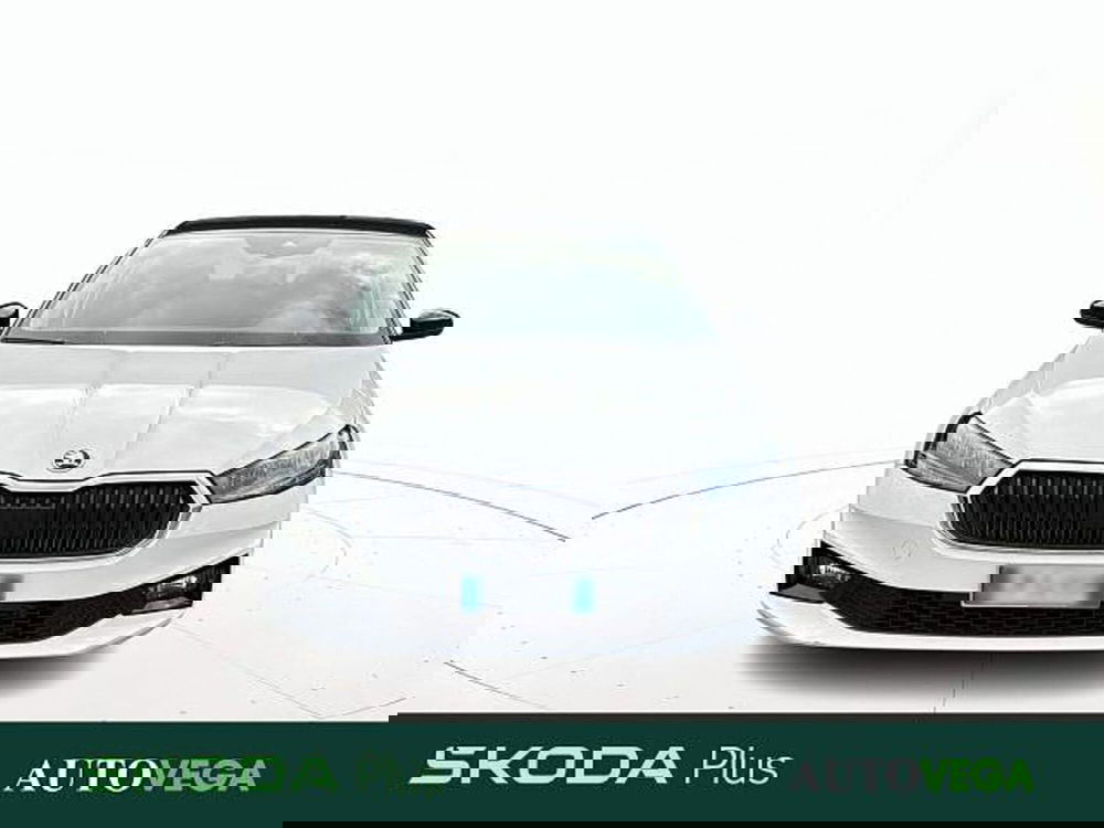 Skoda Fabia usata a Vicenza (2)