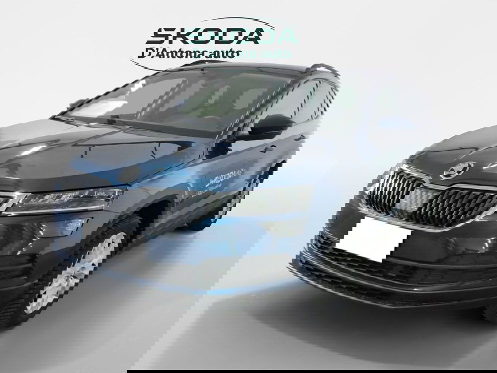 Skoda Karoq usata a Taranto (2)