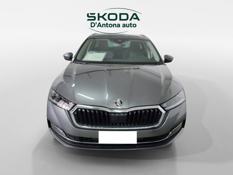Skoda Octavia Station Wagon usata a Taranto (5)