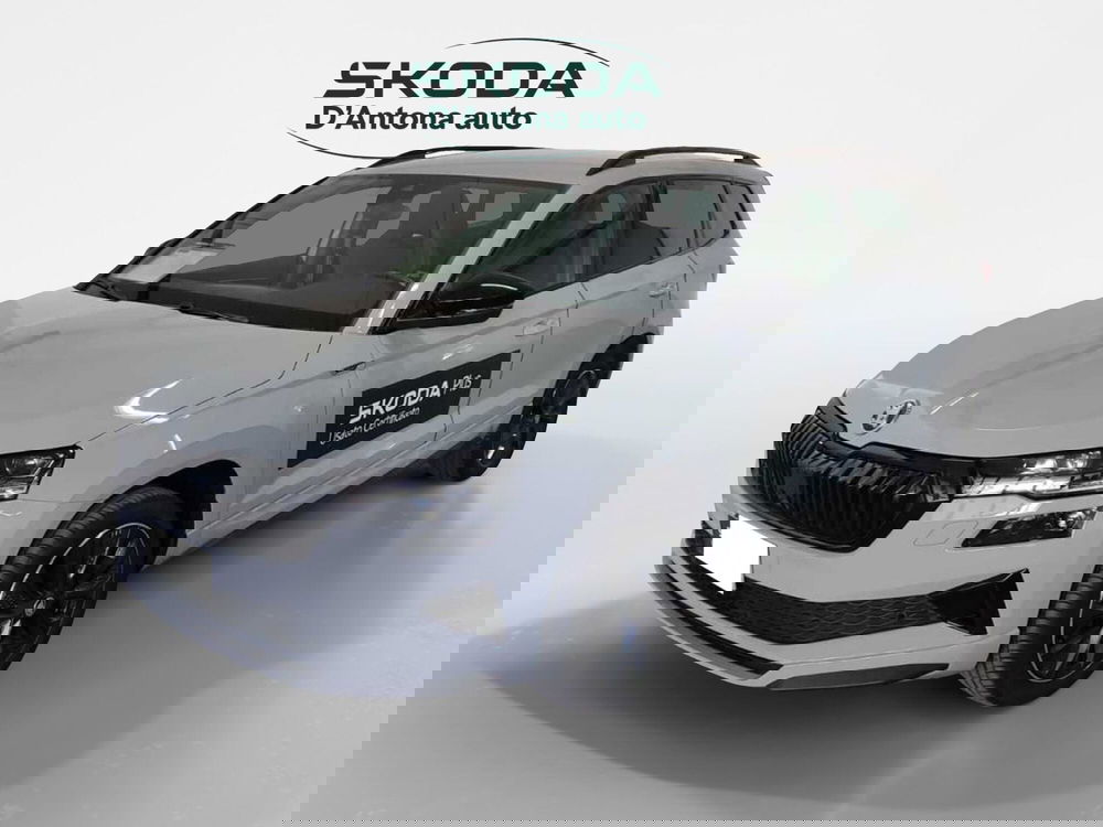 Skoda Karoq usata a Taranto (7)