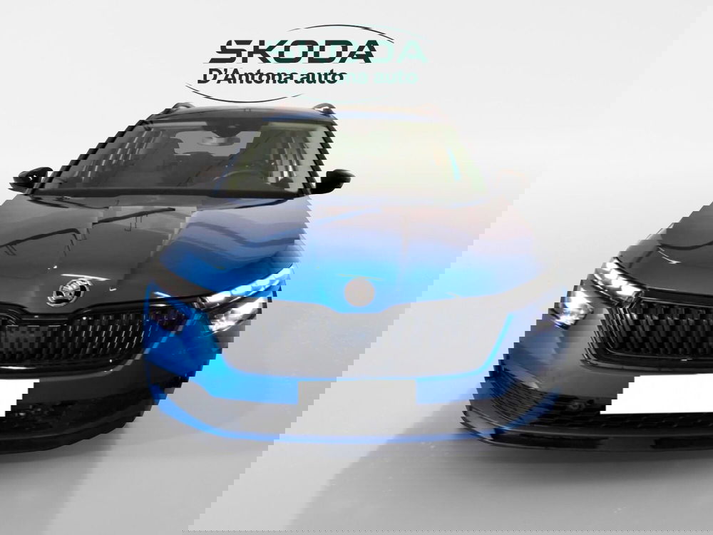 Skoda Kamiq usata a Taranto (8)