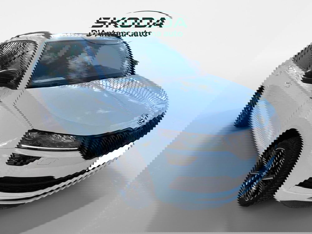 Skoda Karoq usata a Taranto