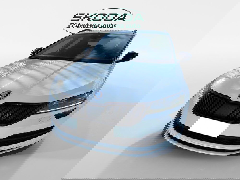 Skoda Karoq usata a Taranto (14)