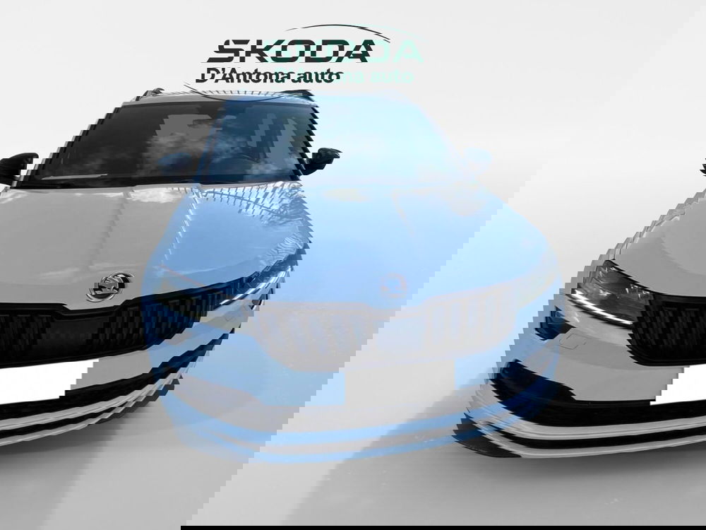 Skoda Karoq usata a Taranto (15)