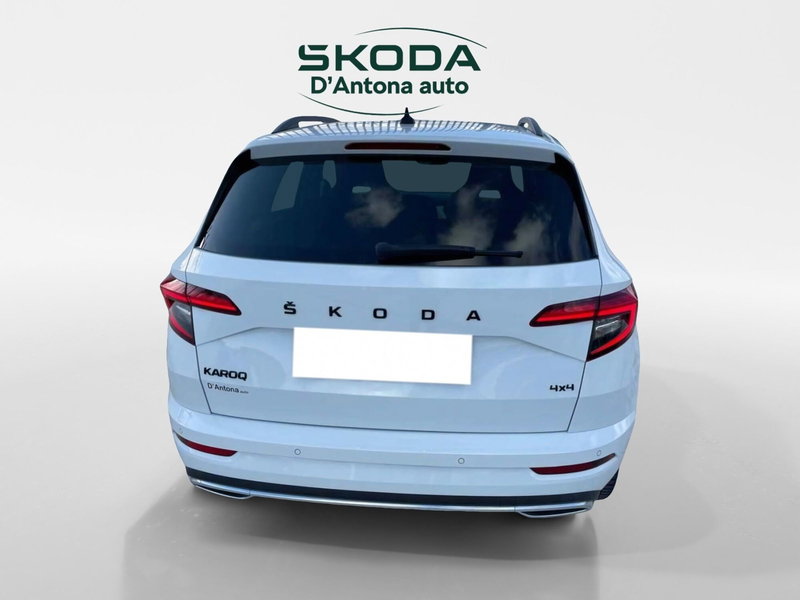 Skoda Karoq usata a Taranto (4)