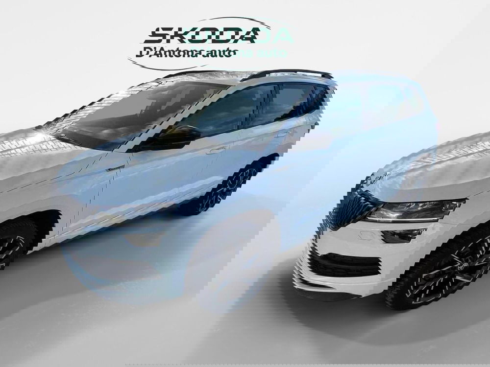 Skoda Karoq usata a Taranto (7)