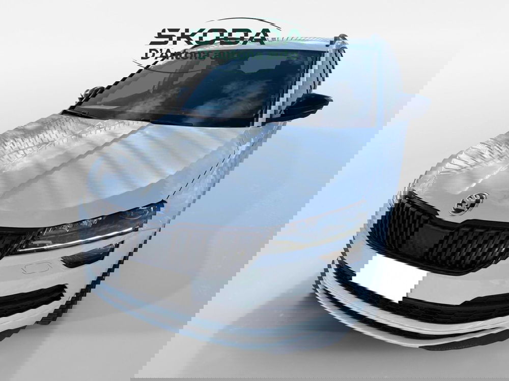 Skoda Karoq usata a Taranto (8)