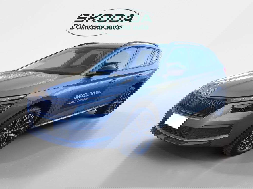 Skoda Kamiq usata a Taranto (2)