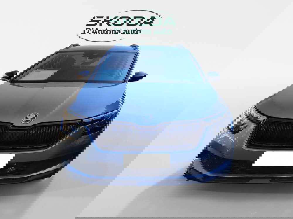 Skoda Kamiq usata a Taranto (4)