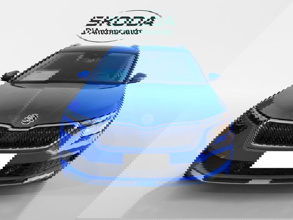 Skoda Kamiq usata a Taranto (3)