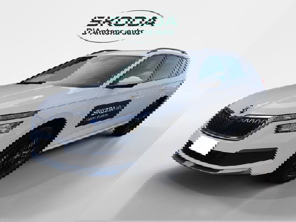 Skoda Kamiq usata a Taranto (3)