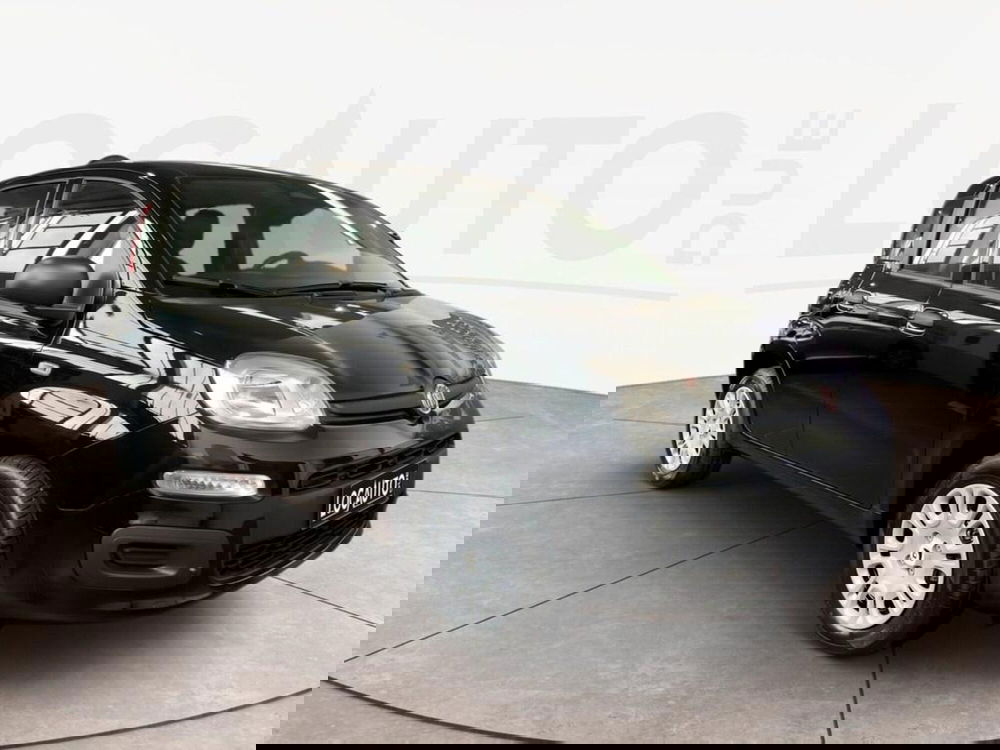 Fiat Pandina nuova a Torino (3)