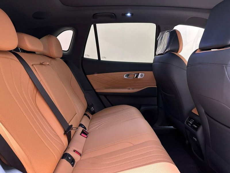 Geely Starray nuova a Varese (5)