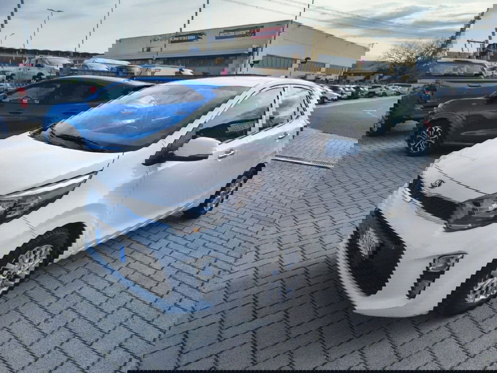 Kia Picanto usata a Firenze