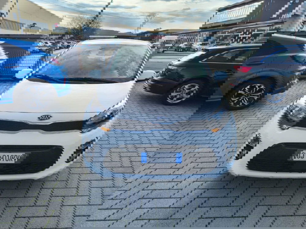 Kia Picanto usata a Firenze (2)