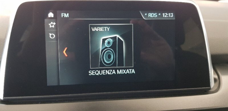 BMW Serie 2 Active Tourer usata a Pordenone (16)