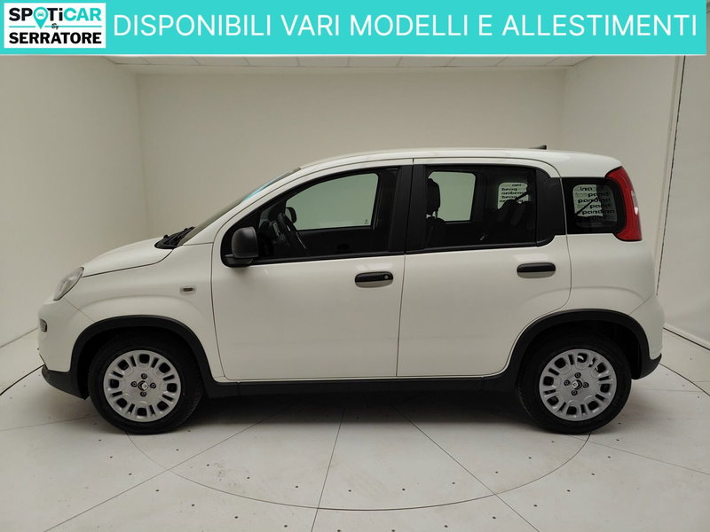 Fiat Panda nuova a Como (4)