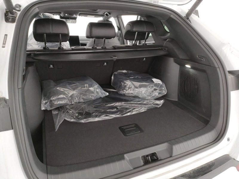 Byd Seal U DM-i  nuova a Caserta (8)