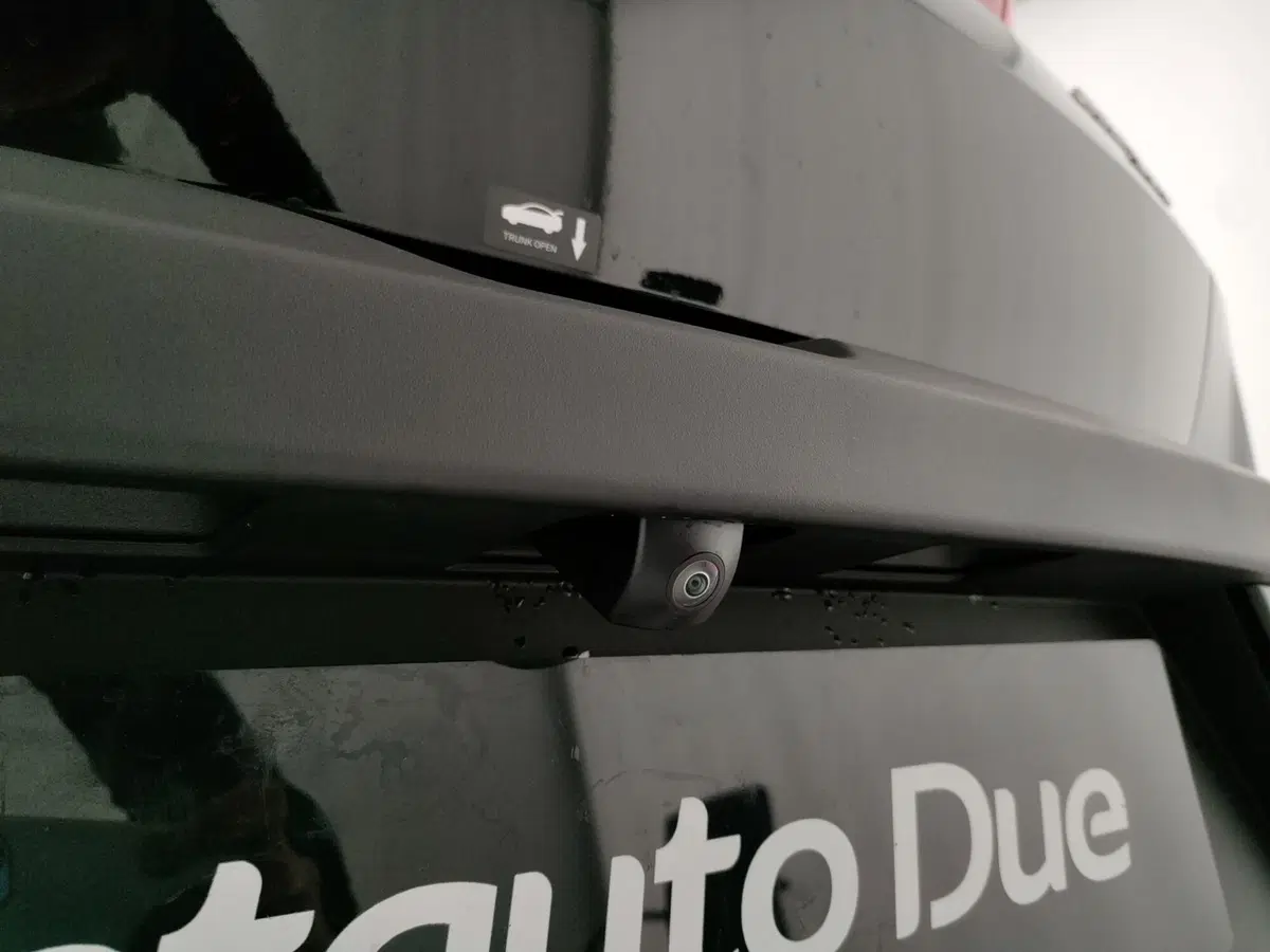 Byd Dolphin Surf nuova a Caserta (10)