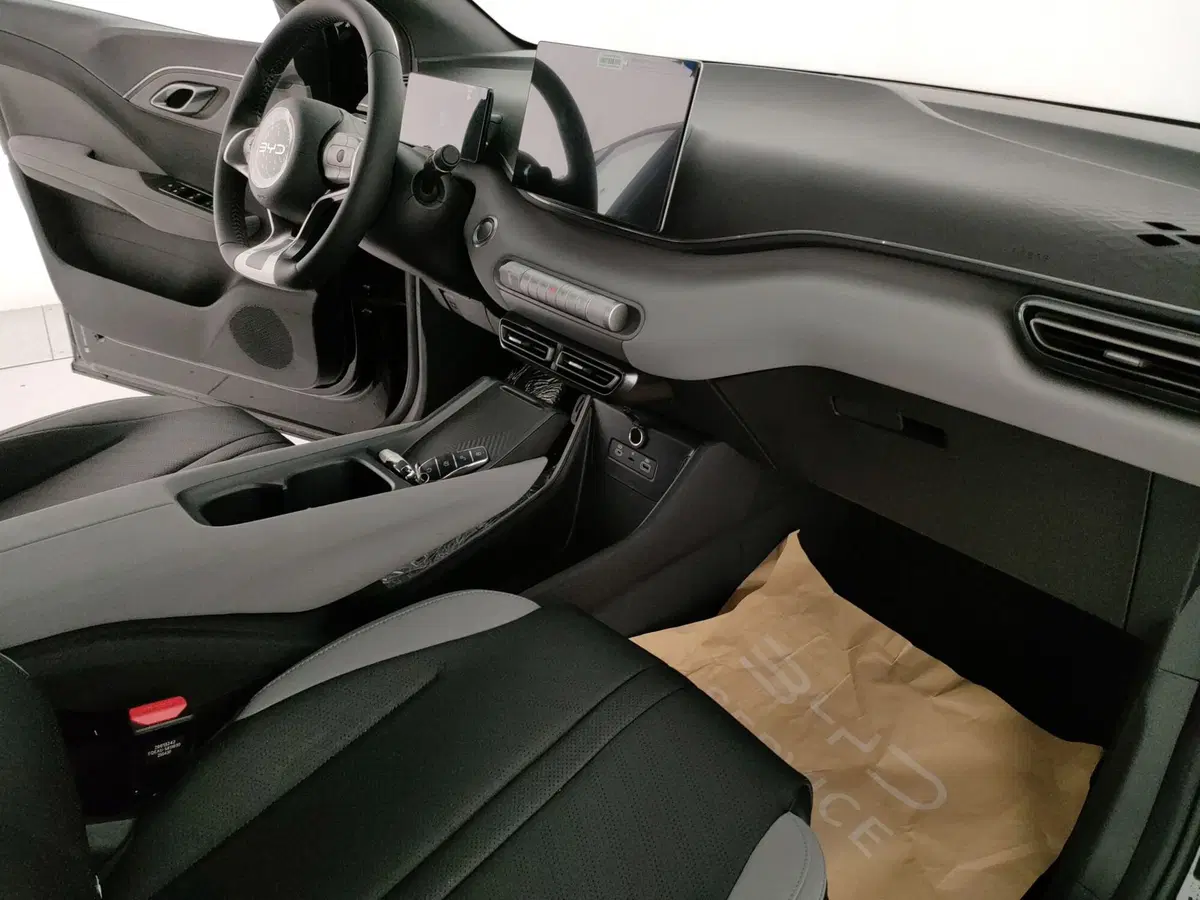 Byd Dolphin Surf nuova a Caserta (15)