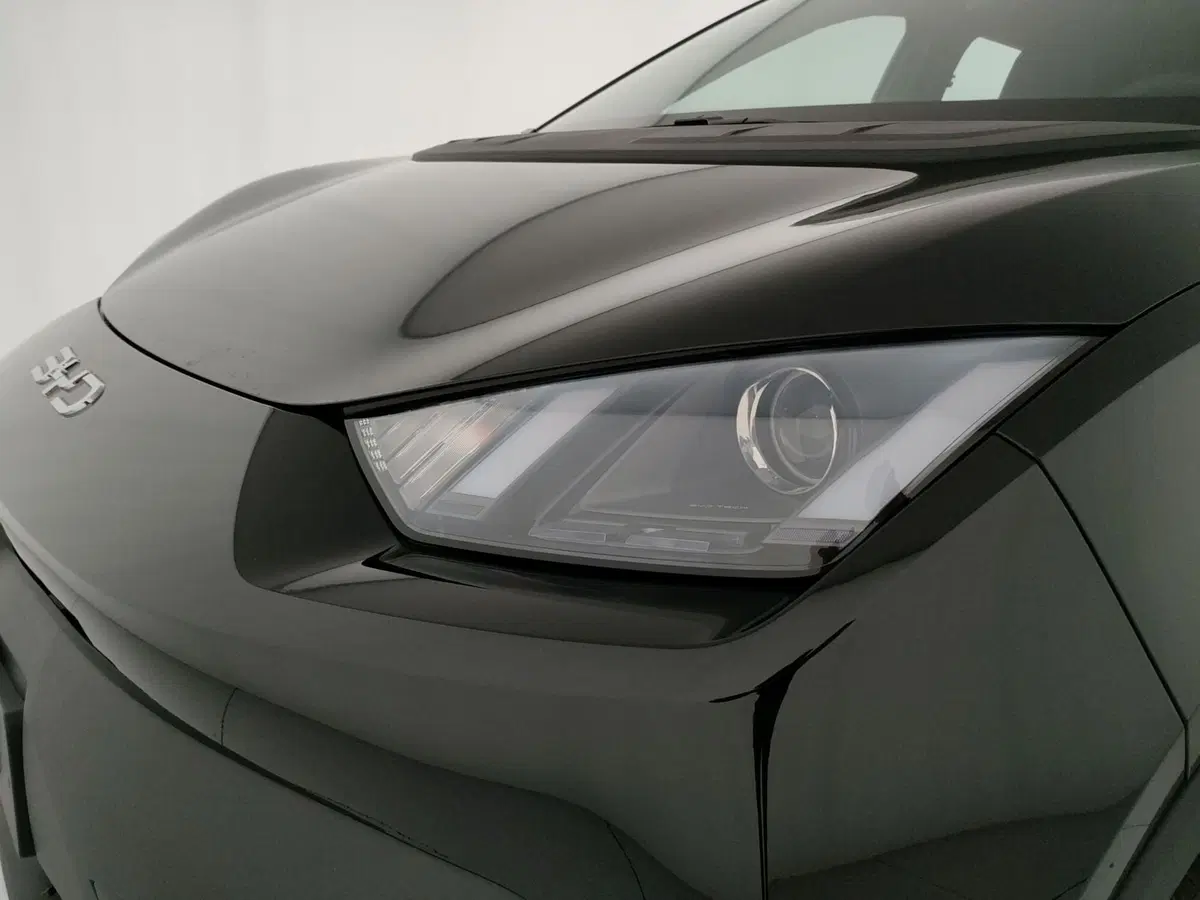 Byd Dolphin Surf nuova a Caserta (18)