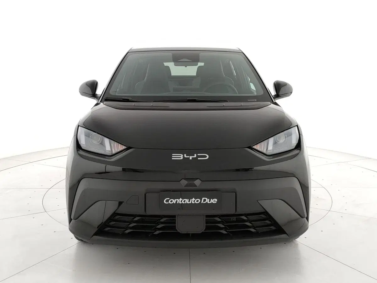 Byd Dolphin Surf nuova a Caserta (2)