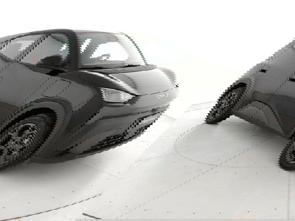 Byd Dolphin Surf nuova a Caserta (3)