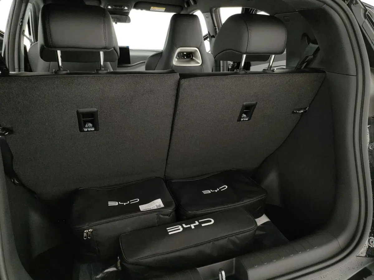 Byd Dolphin Surf nuova a Caserta (8)