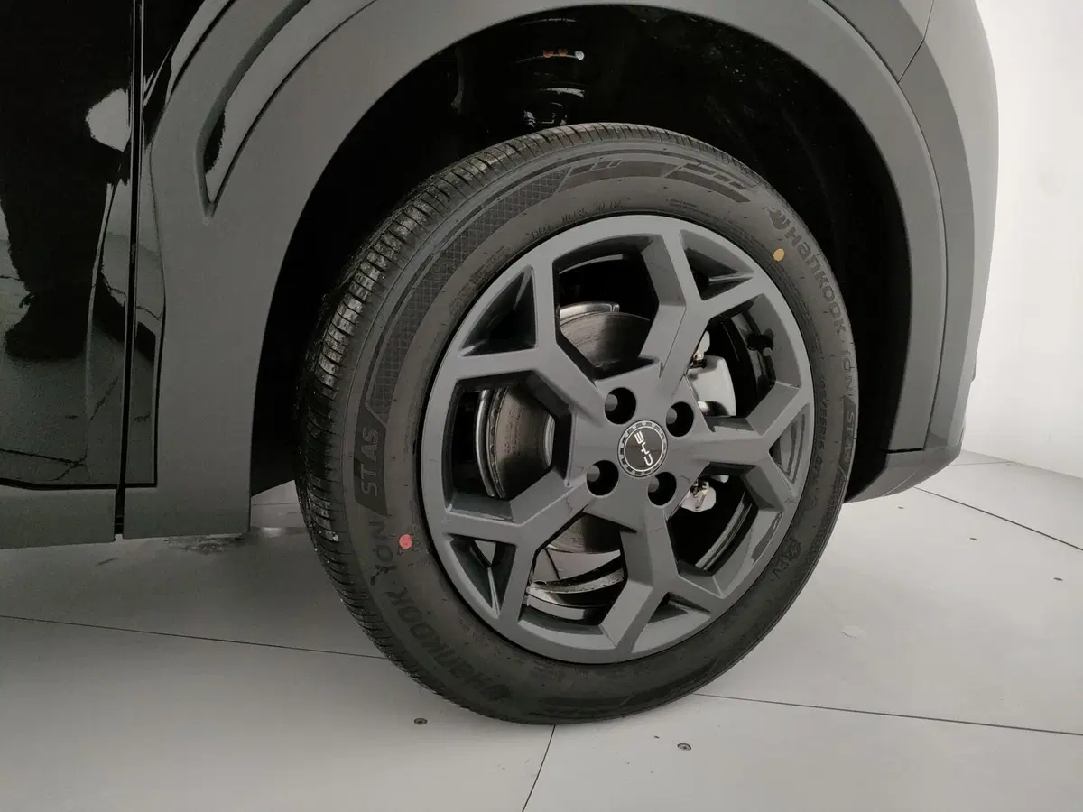 Byd Dolphin Surf nuova a Caserta (17)