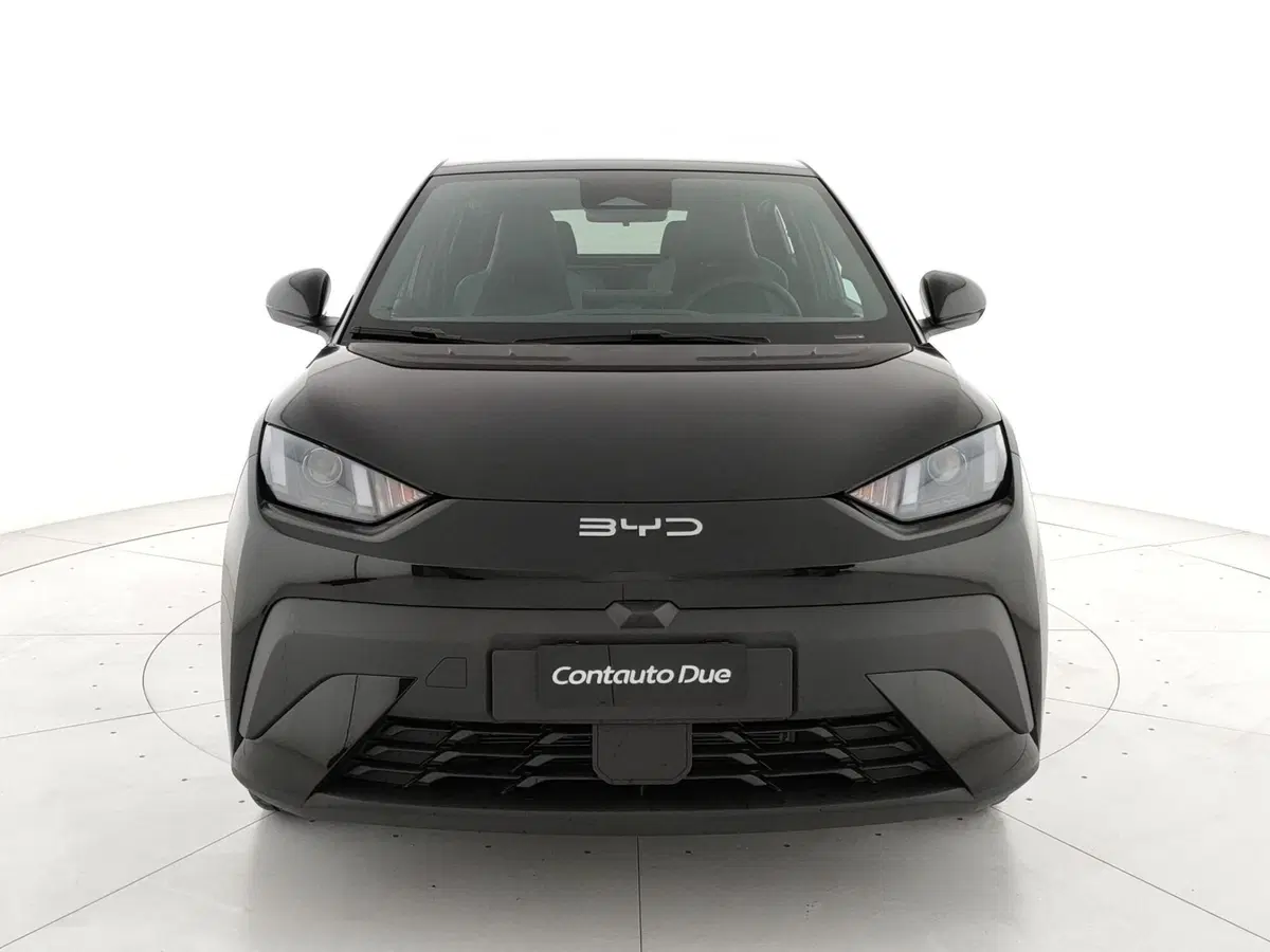 Byd Dolphin Surf nuova a Caserta (2)