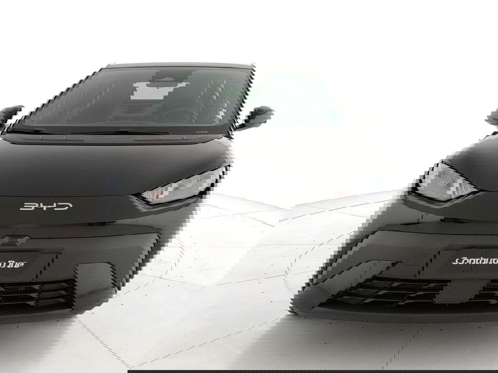 Byd Dolphin Surf nuova a Caserta (2)