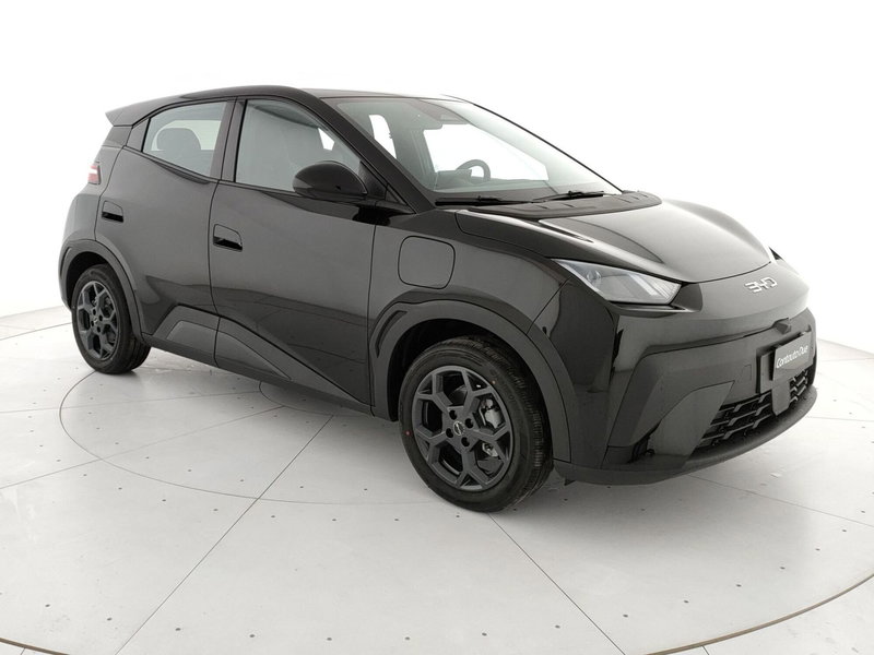 Byd Dolphin Surf nuova a Caserta (3)