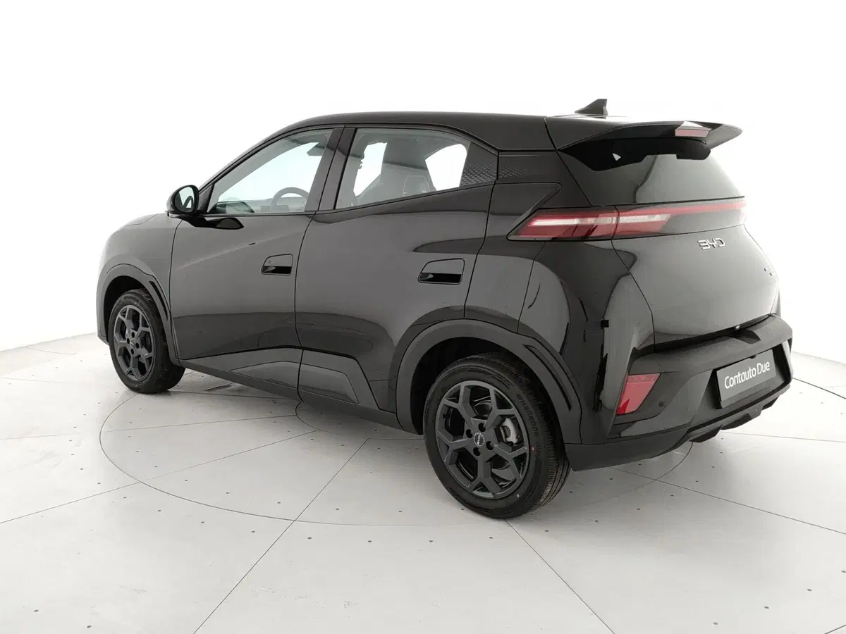 Byd Dolphin Surf nuova a Caserta (7)