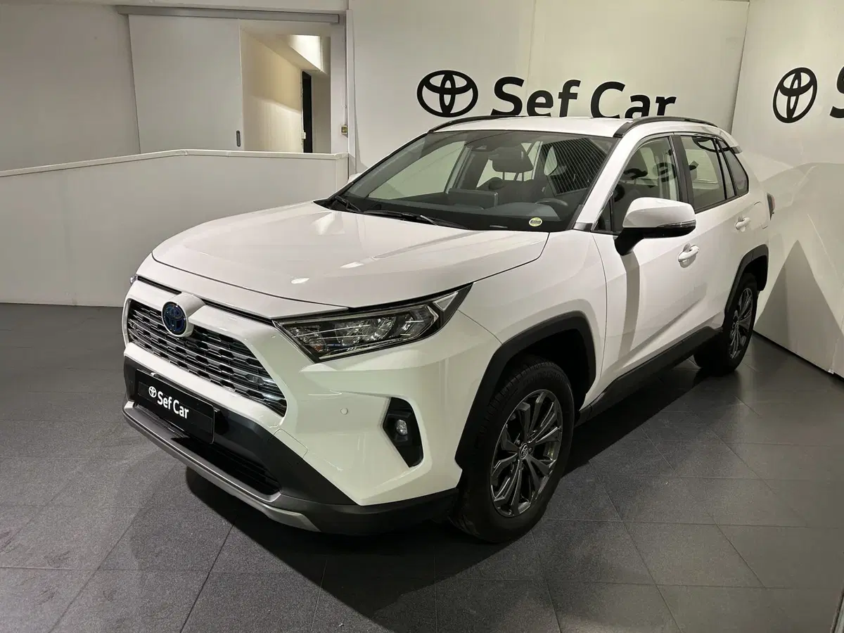 Toyota Rav4 usata a Milano