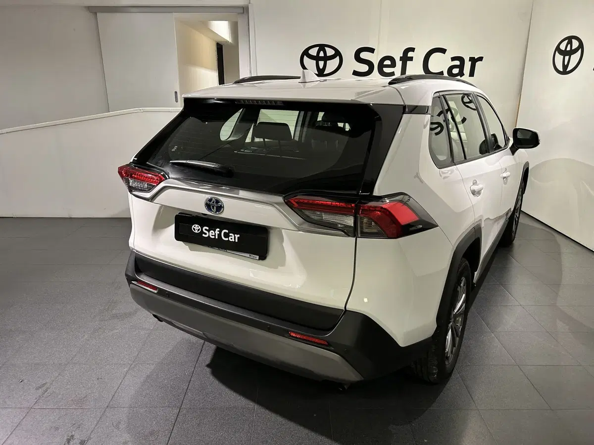 Toyota Rav4 usata a Milano (4)
