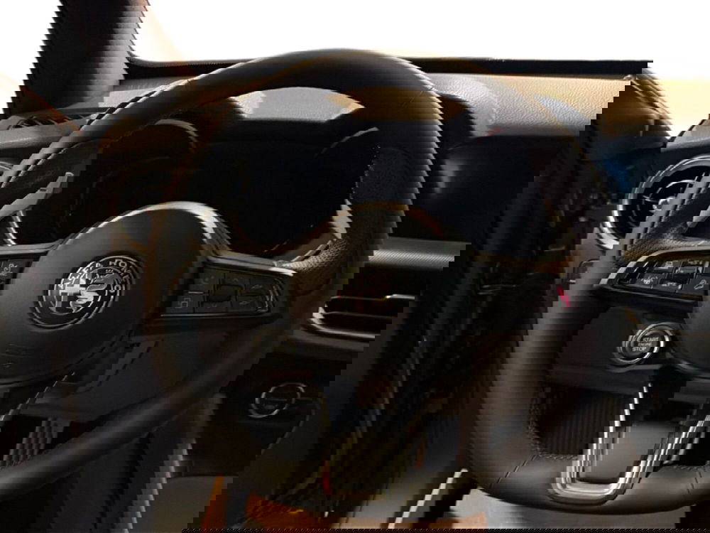 Alfa Romeo Stelvio nuova a Campobasso (19)