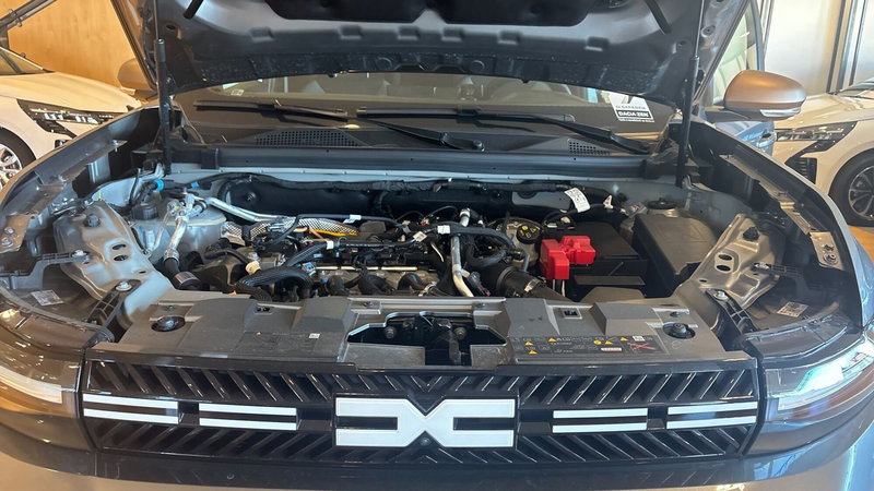 Dacia Bigster usata a Treviso (15)