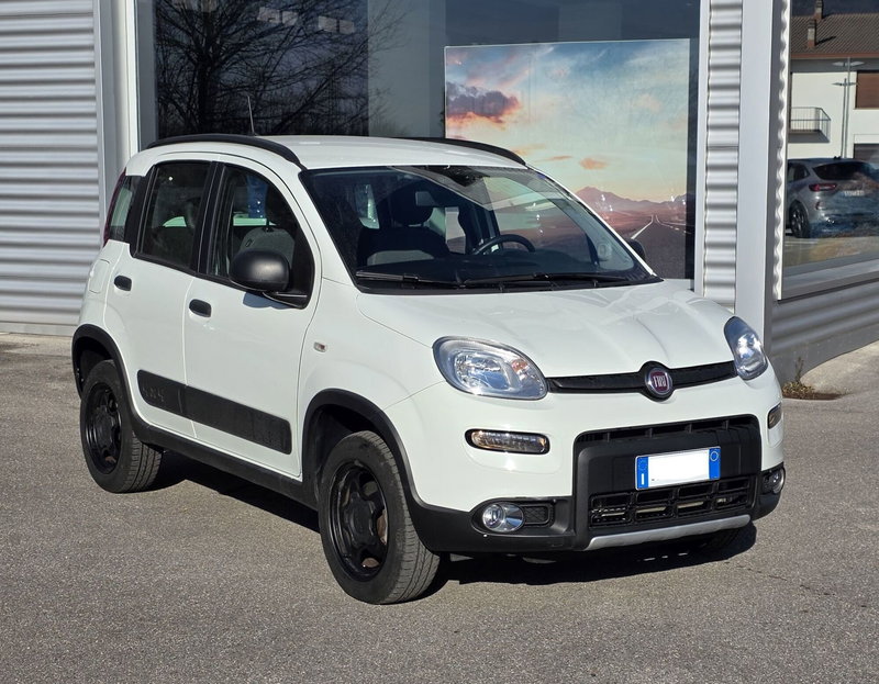 Fiat Panda Cross usata a Belluno (2)