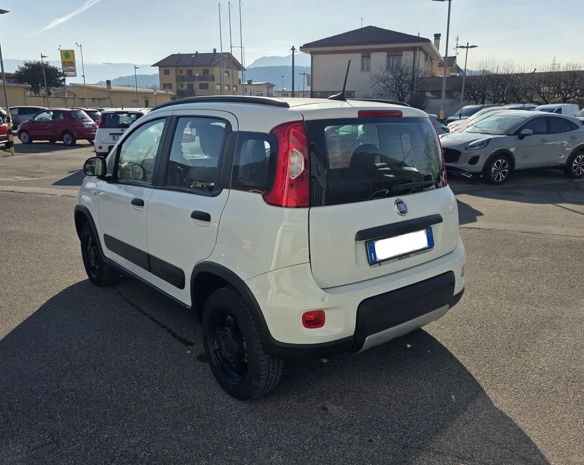 Fiat Panda Cross usata a Belluno (4)