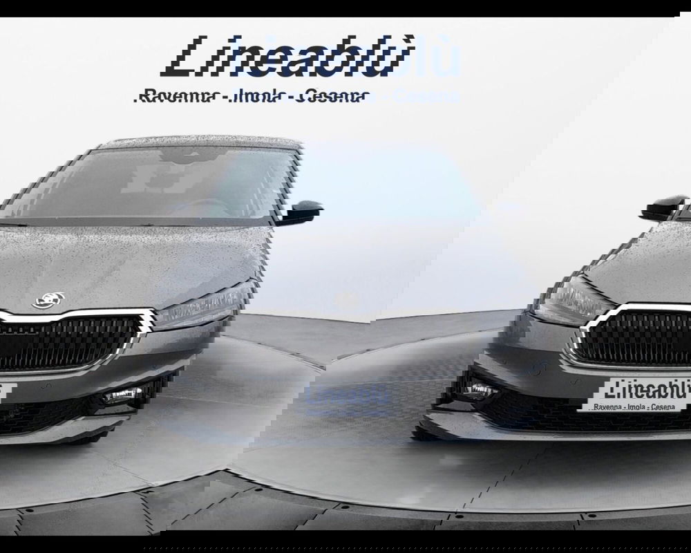 Skoda Fabia usata a Ravenna (8)