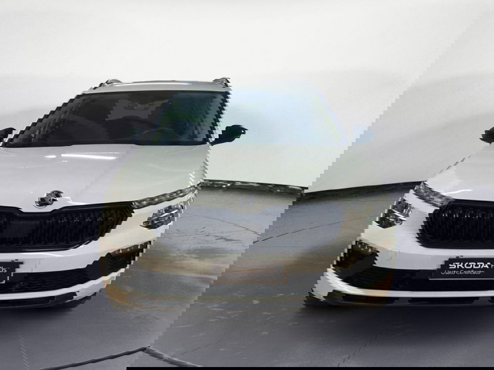 Skoda Kamiq usata a Reggio Calabria (2)