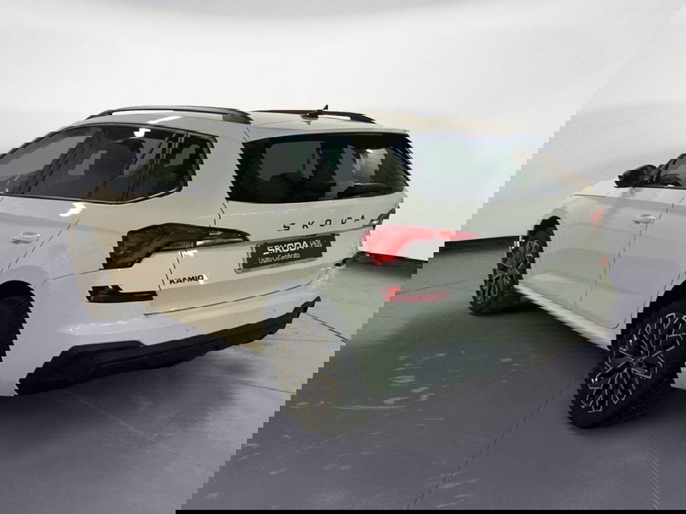 Skoda Kamiq usata a Reggio Calabria (7)