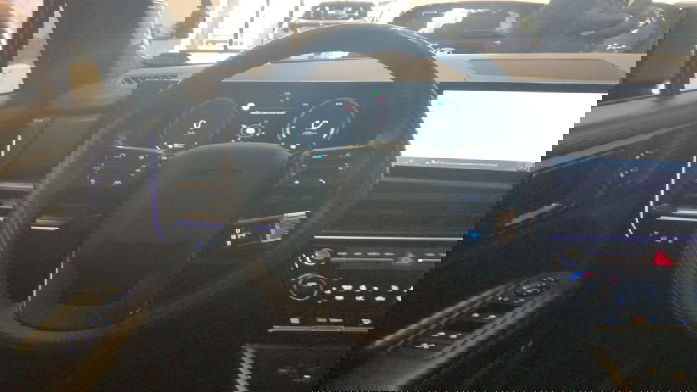 Hyundai Santa Fe usata a Firenze (15)