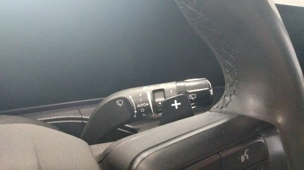 Hyundai Santa Fe usata a Firenze (19)