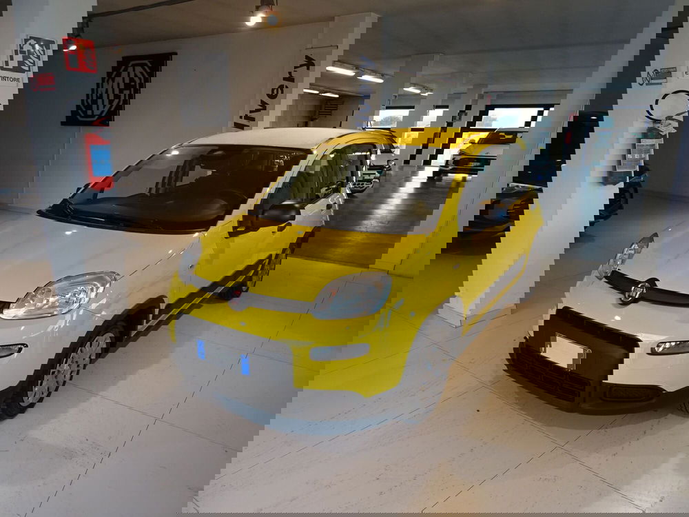 Fiat Panda usata a Lucca