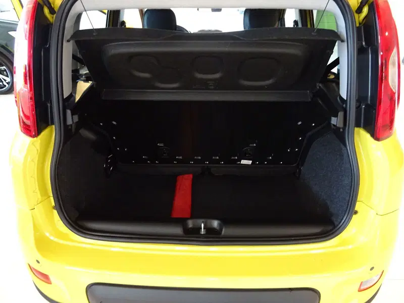 Fiat Panda usata a Lucca (14)