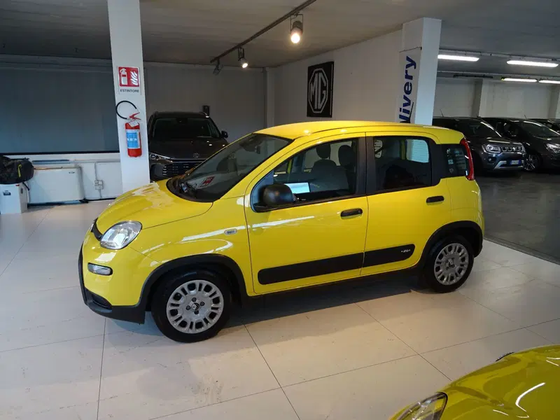 Fiat Panda usata a Lucca (2)