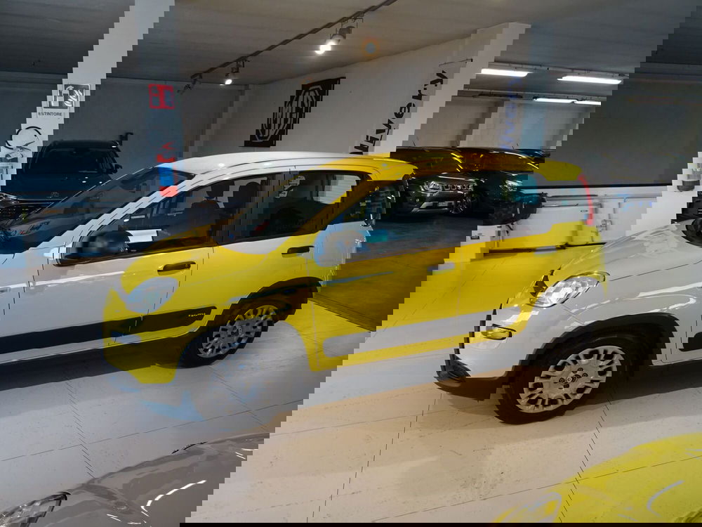 Fiat Panda usata a Lucca (2)