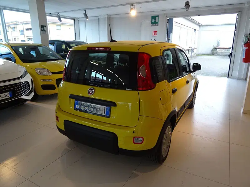 Fiat Panda usata a Lucca (4)